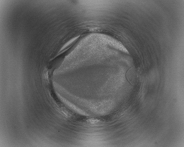 X0000074040650200609181953