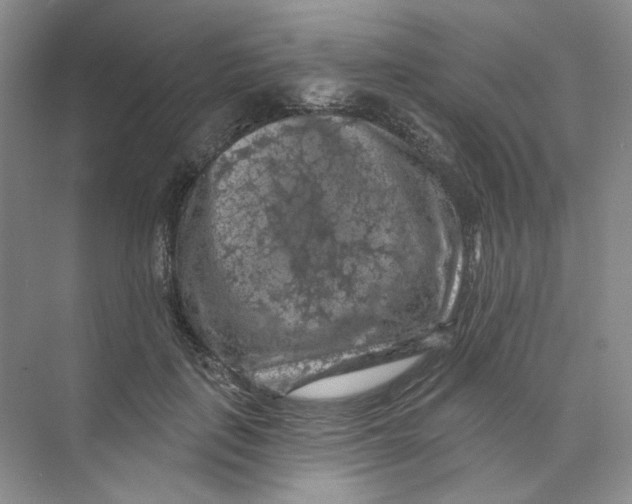 X0000074040651200609181954