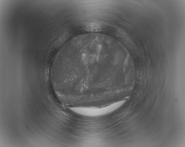 X0000074040652200609181954