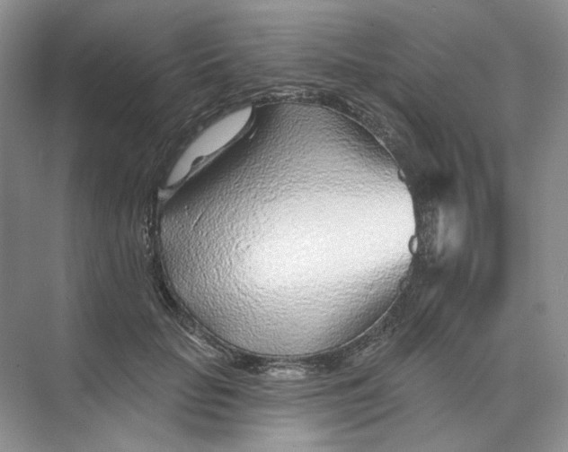 X0000074040653200609181954