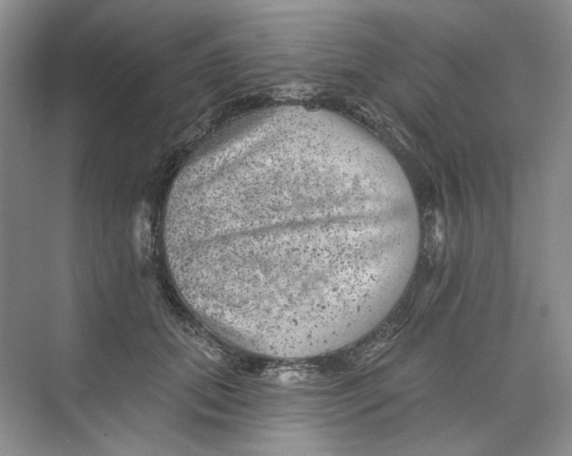 X0000074040655200609181954