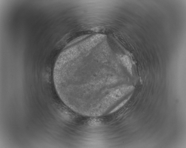 X0000074040656200609181954