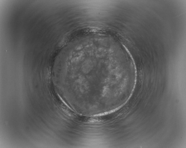 X0000074040657200609181954