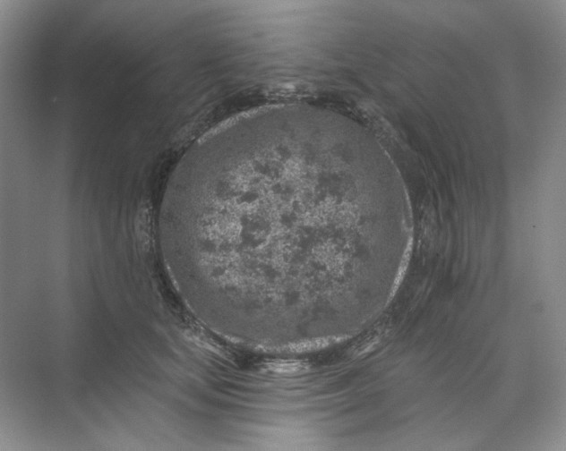 X0000074040659200609181954