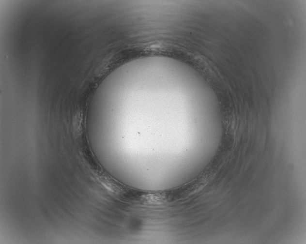 X0000074040660200609181954