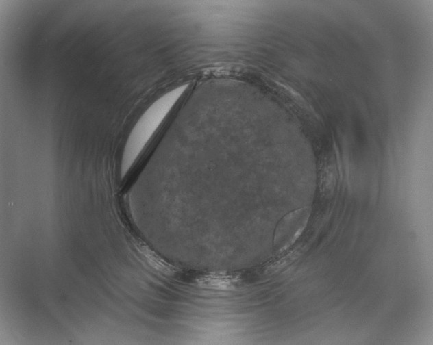 X0000074040661200609181954