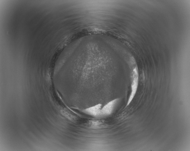 X0000074040662200609181954