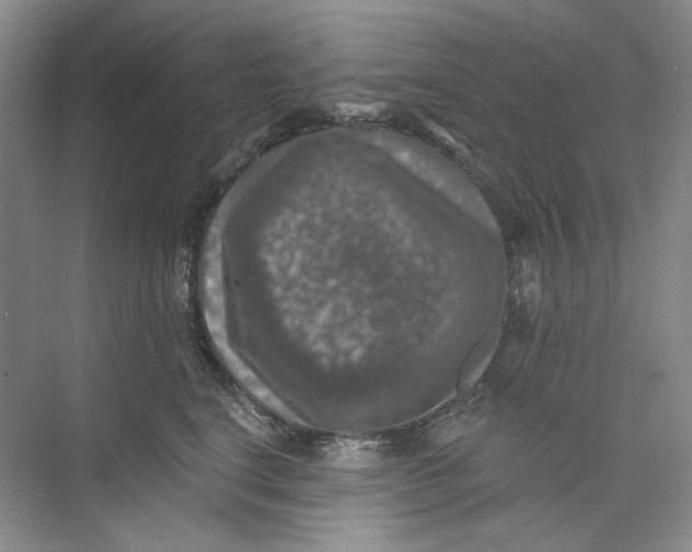 X0000074040664200609181954