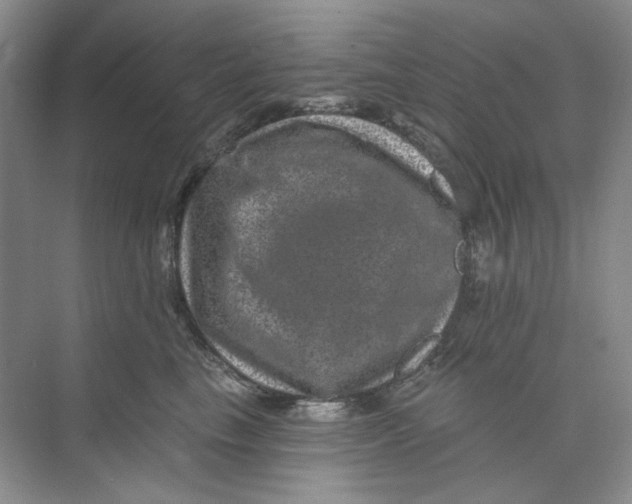 X0000074040665200609181954