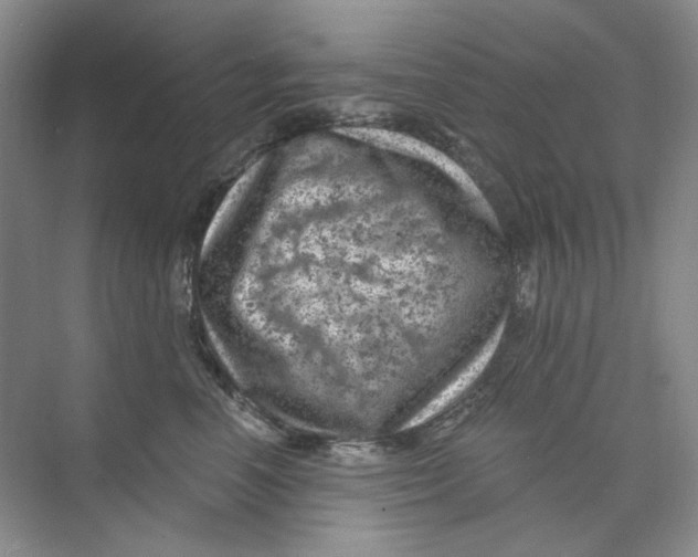 X0000074040666200609181954