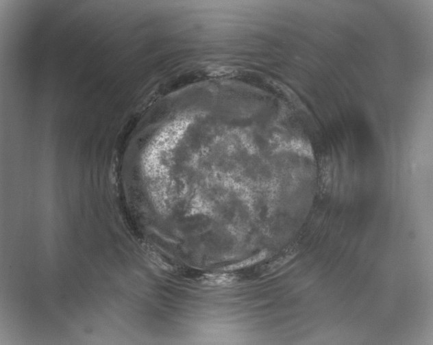 X0000074040667200609181954