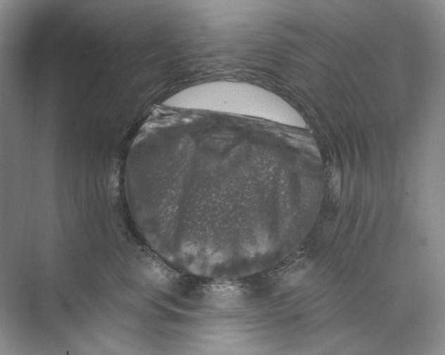 X0000074040668200609181954