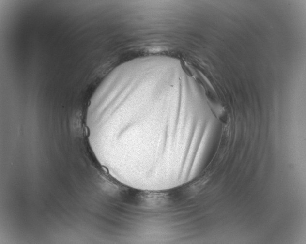 X0000074040670200609181954