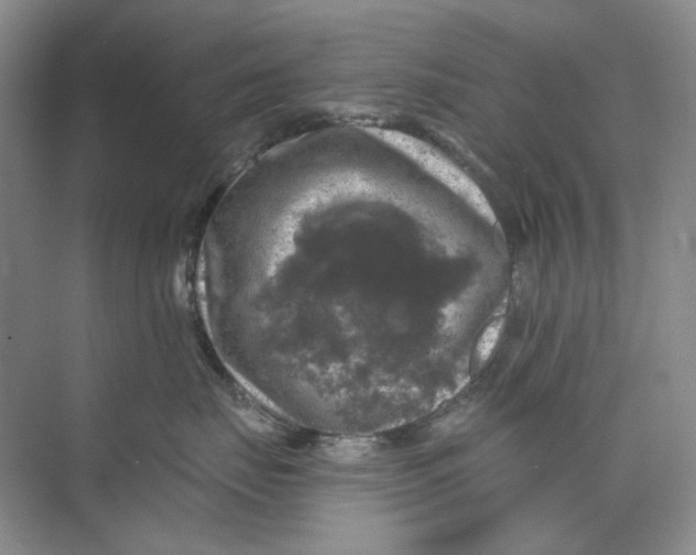 X0000074040671200609181954