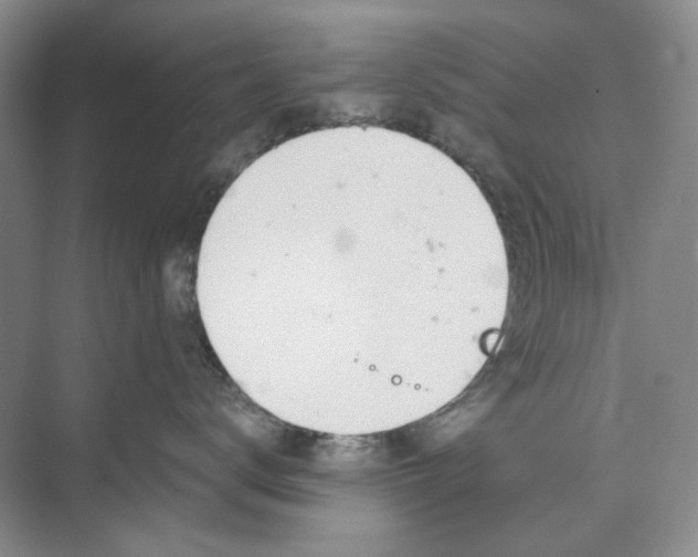 X0000074040672200609181954