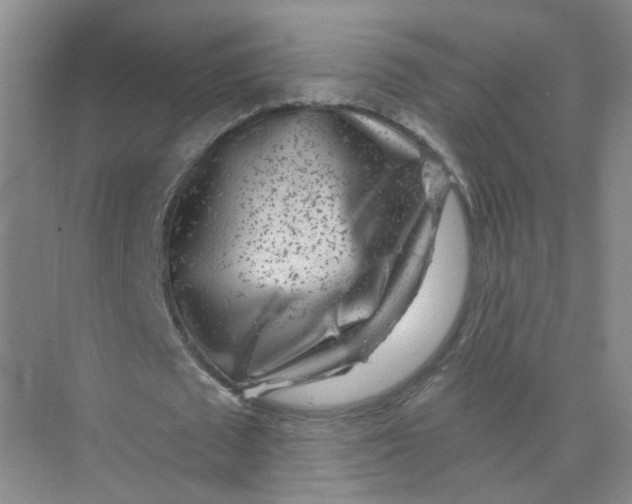 X0000074040673200609181953