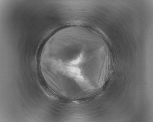 X0000074040674200609181953