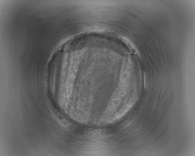 X0000074040675200609181953