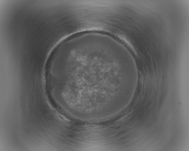 X0000074040676200609181953