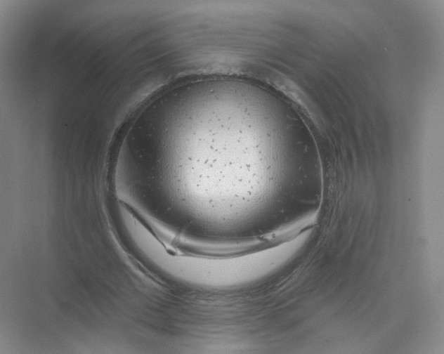 X0000074040677200609181953