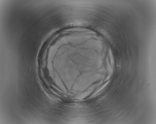 X0000074040678200609181953