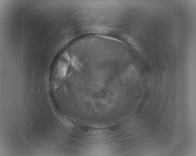 X0000074040679200609181953