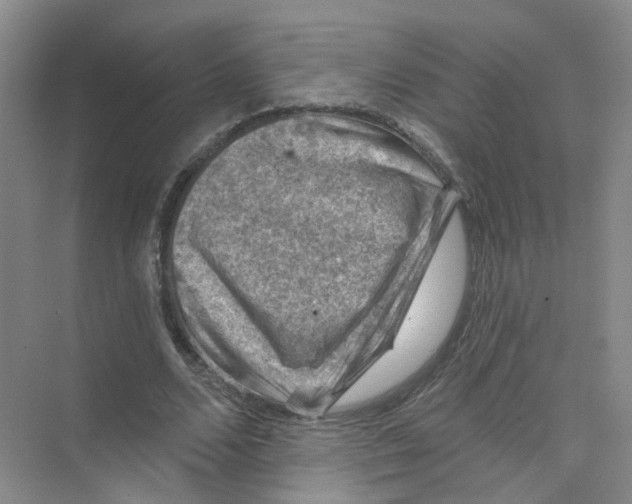 X0000074040680200609181953