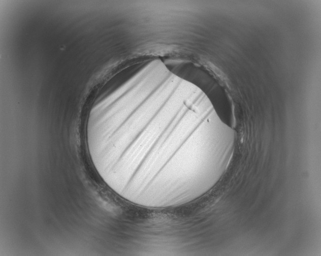 X0000074040682200609181953