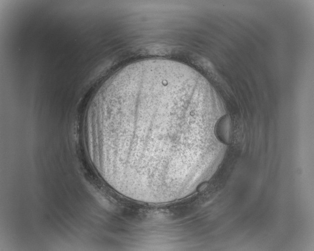 X0000074040683200609181953