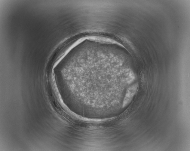 X0000074040684200609181953