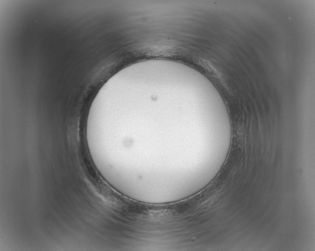 X0000074040686200609181953