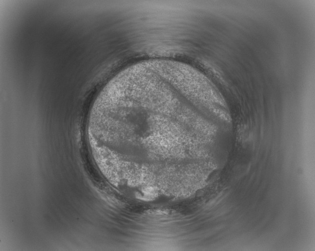 X0000074040687200609181953