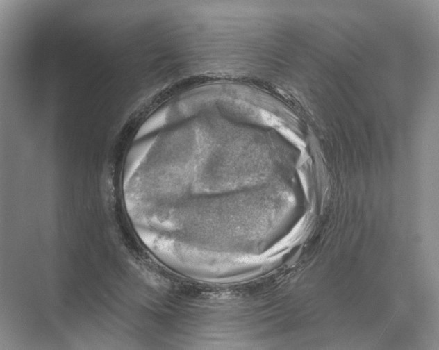 X0000074040688200609181953