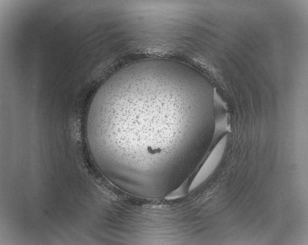 X0000074040689200609181953