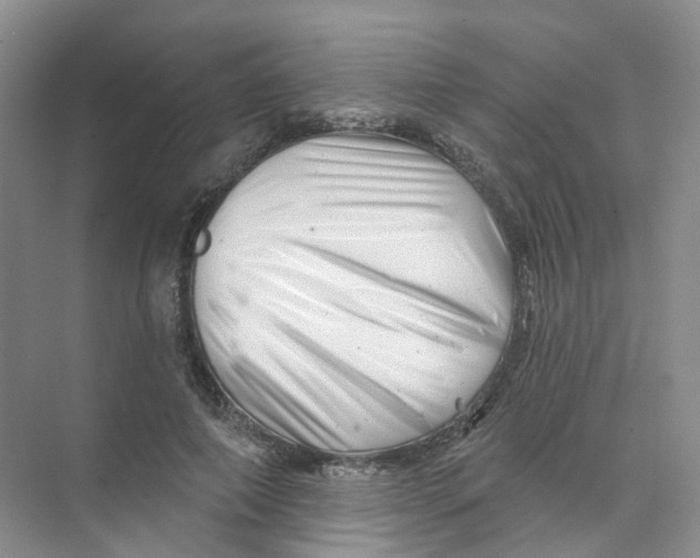 X0000074040690200609181953