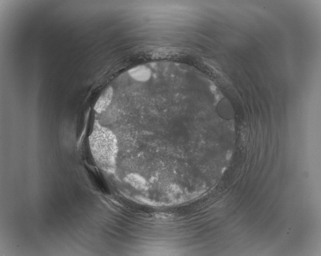 X0000074040691200609181953