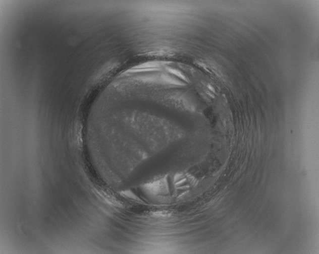 X0000074040692200609181953