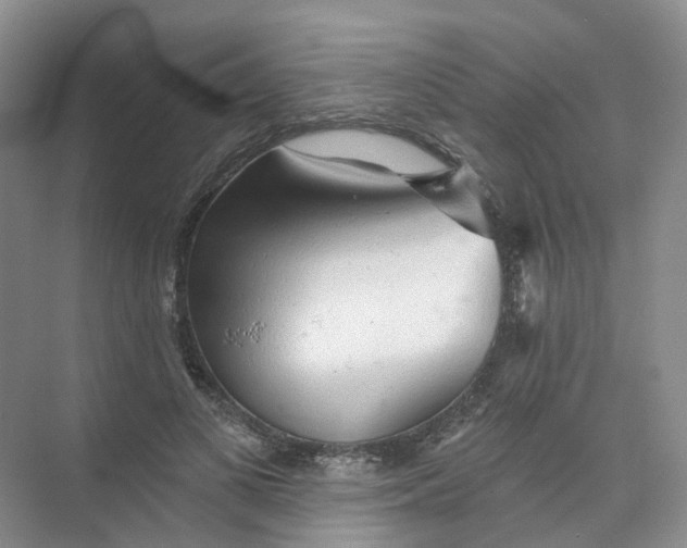 X0000074040693200609181953