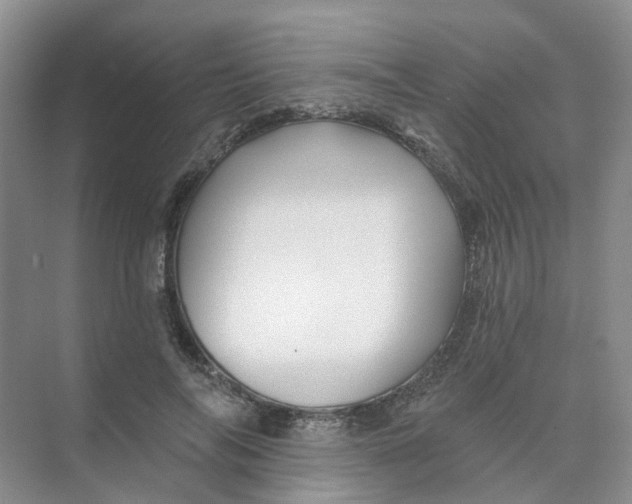 X0000074040694200609181953