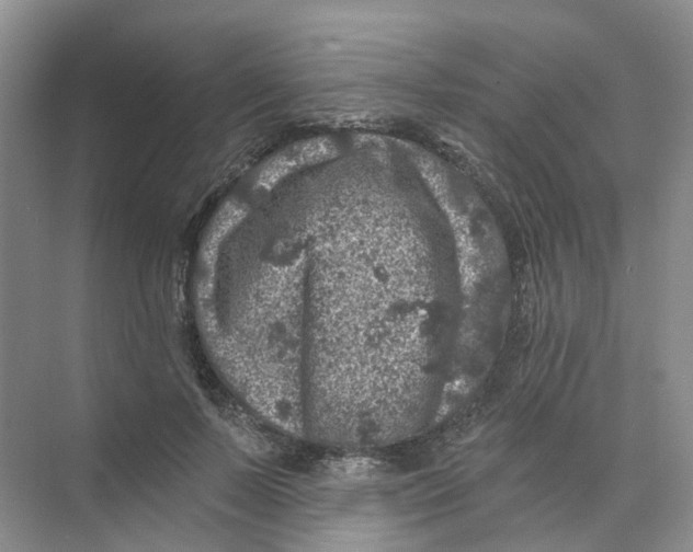 X0000074040695200609181953