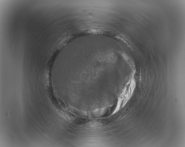 X0000074040696200609181953