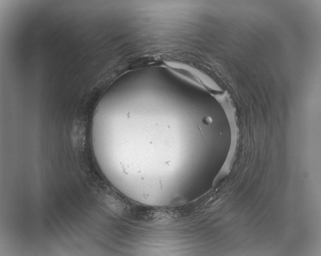 X0000074040697200609181953