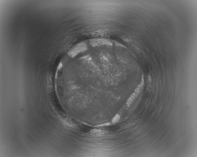 X0000074040699200609181953