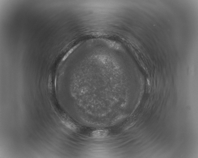 X0000074040700200609181953