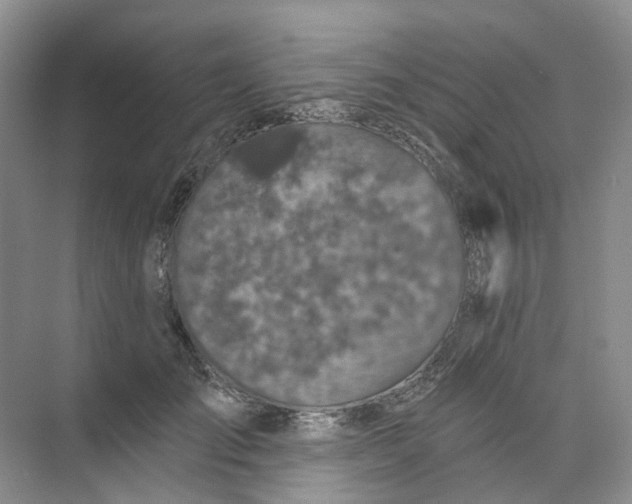 X0000074040701200609181953