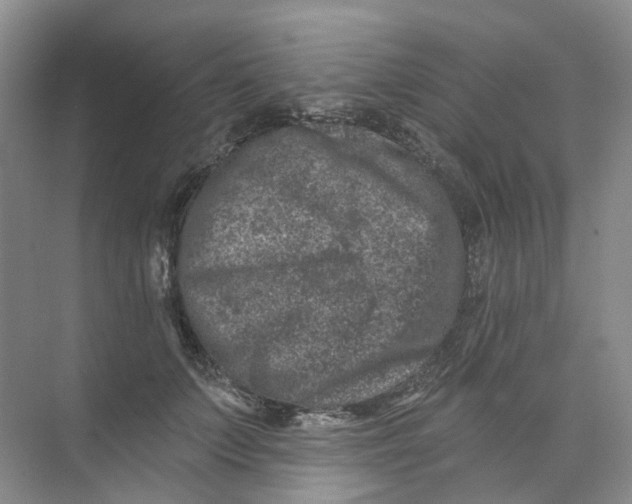 X0000074040703200609181953