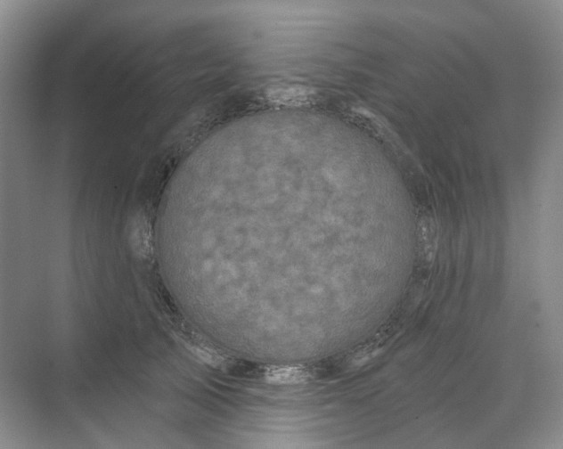 X0000074040705200609181953