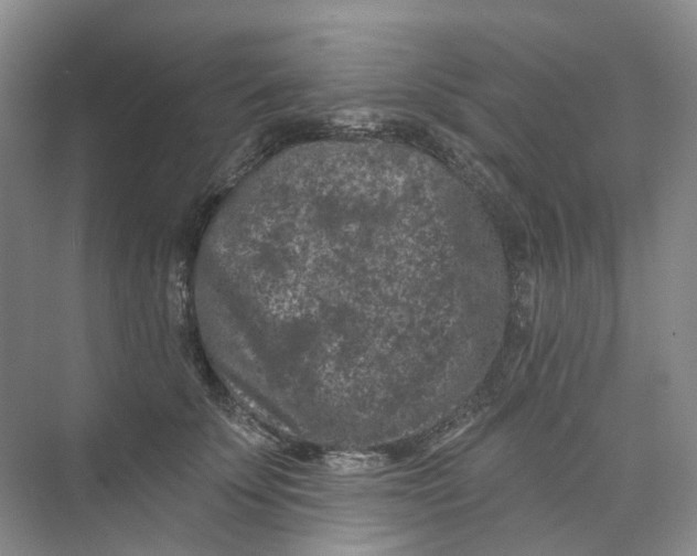 X0000074040707200609181952