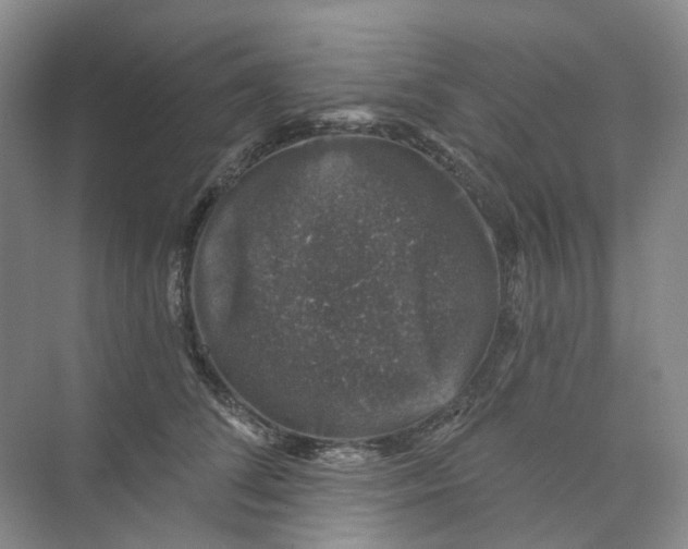 X0000074040708200609181952