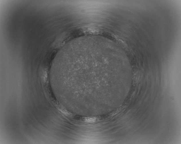 X0000074040709200609181952